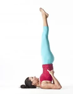 Nancy-Kate-shoulder-stand.jpg.81547c15e6369a4946e3f12d8022c8f4