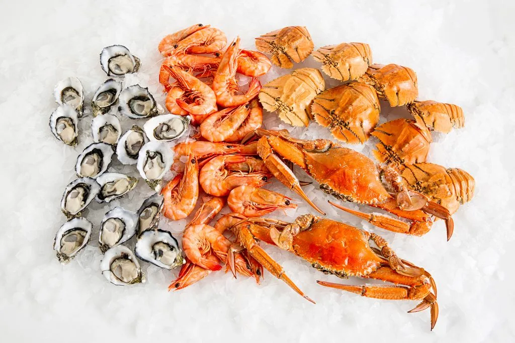 Fresh-Seafood-Pack-07